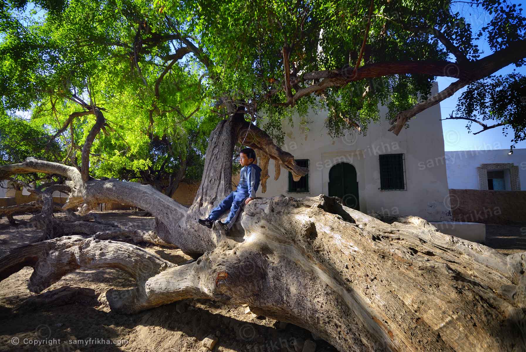 Samy Frikha Photography Divers