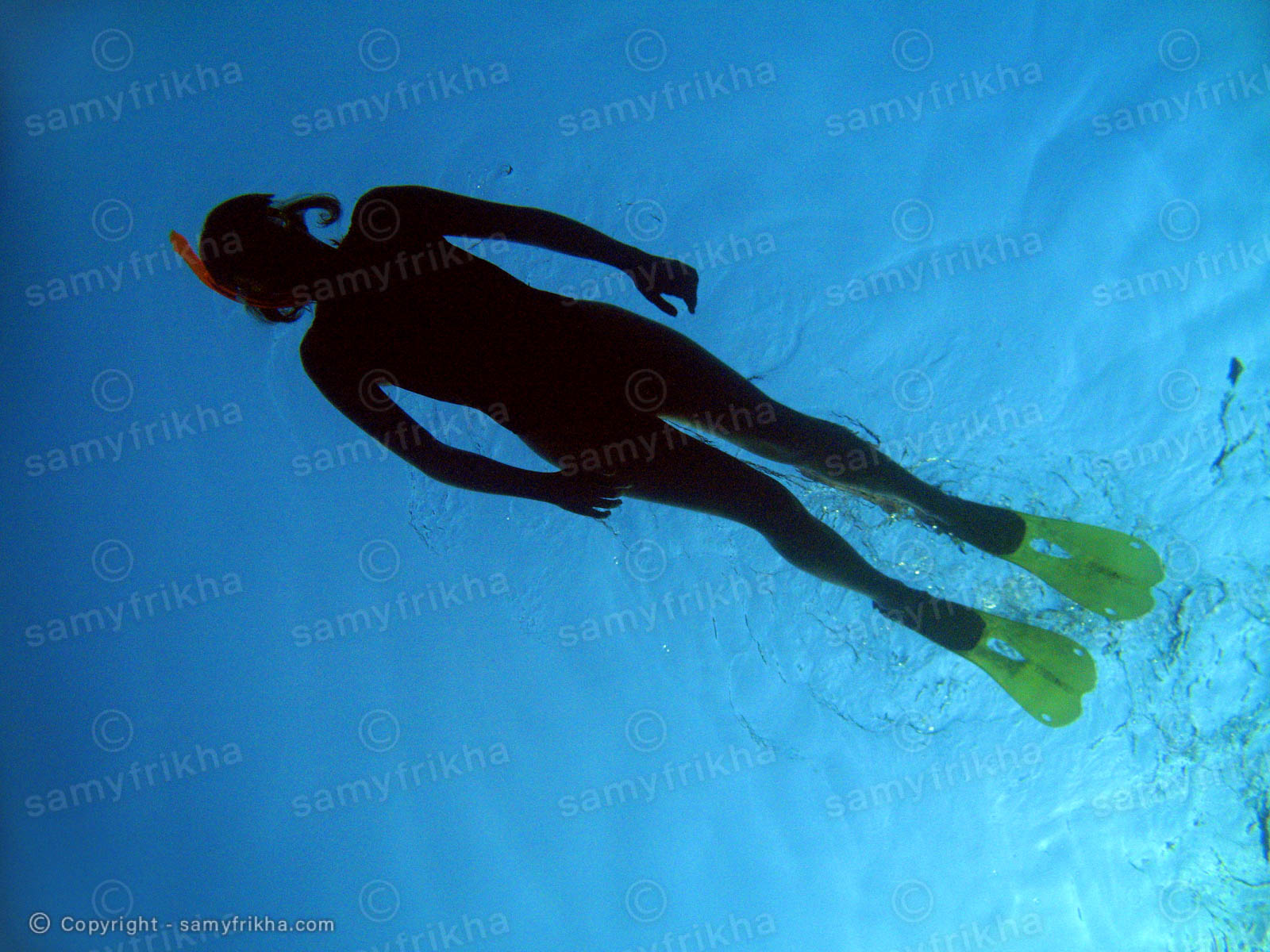 Samy Frikha Photography Divers