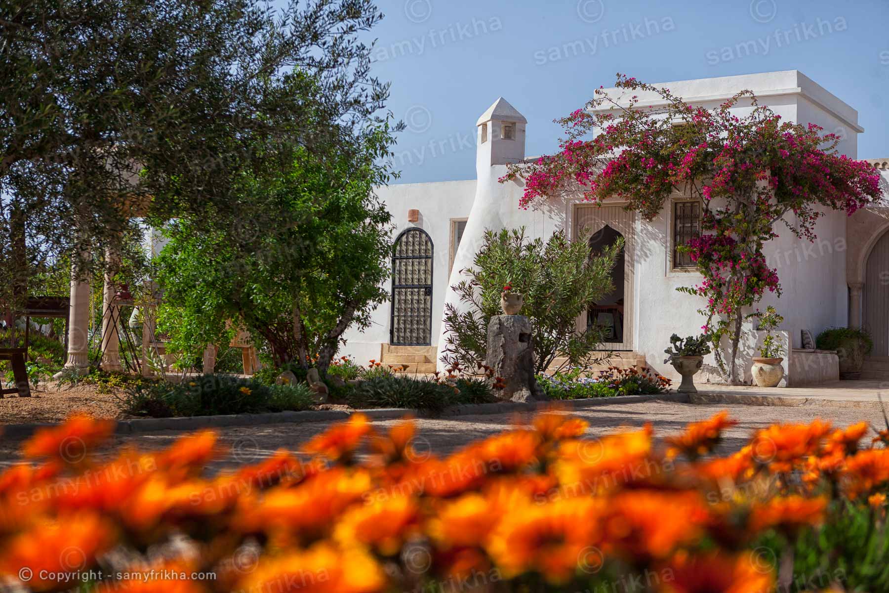 Frikha Photography Architecture & Interior