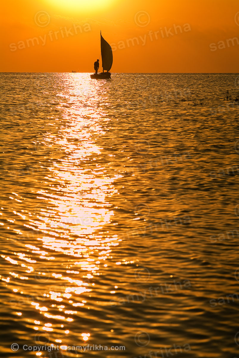 Photography Landscapes & Nature