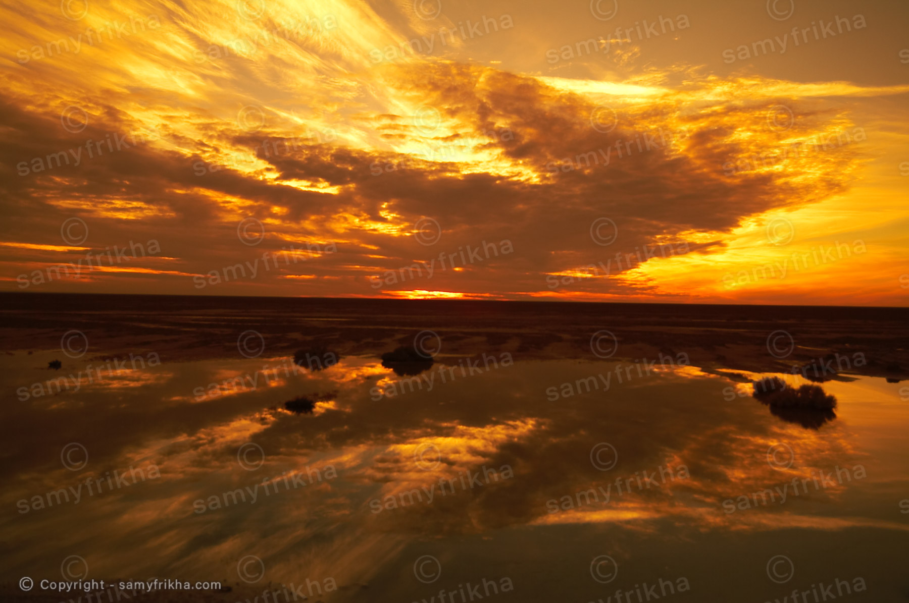 Photography Landscapes & Nature