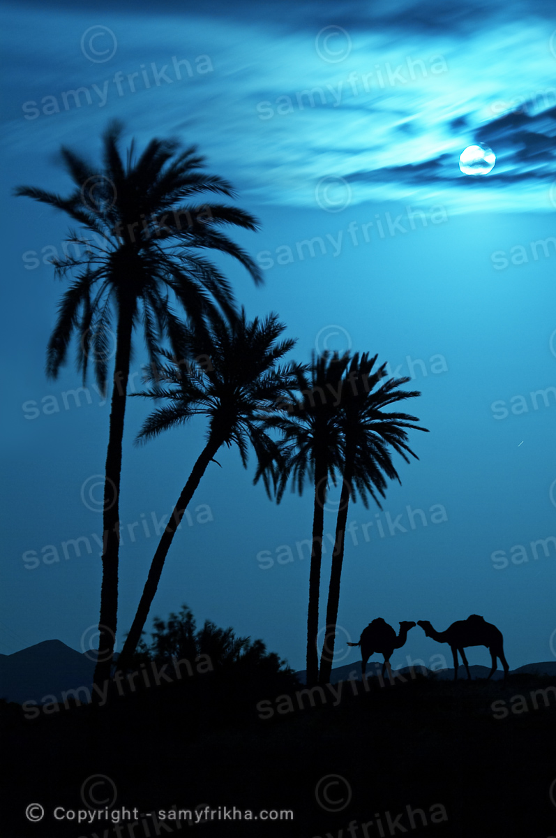 Photography Landscapes & Nature