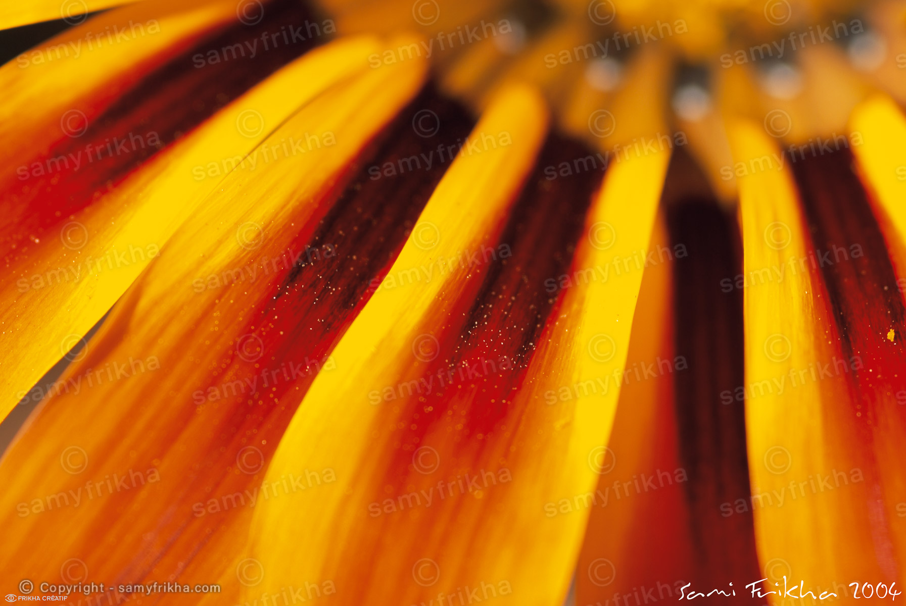 Photography Landscapes & Nature