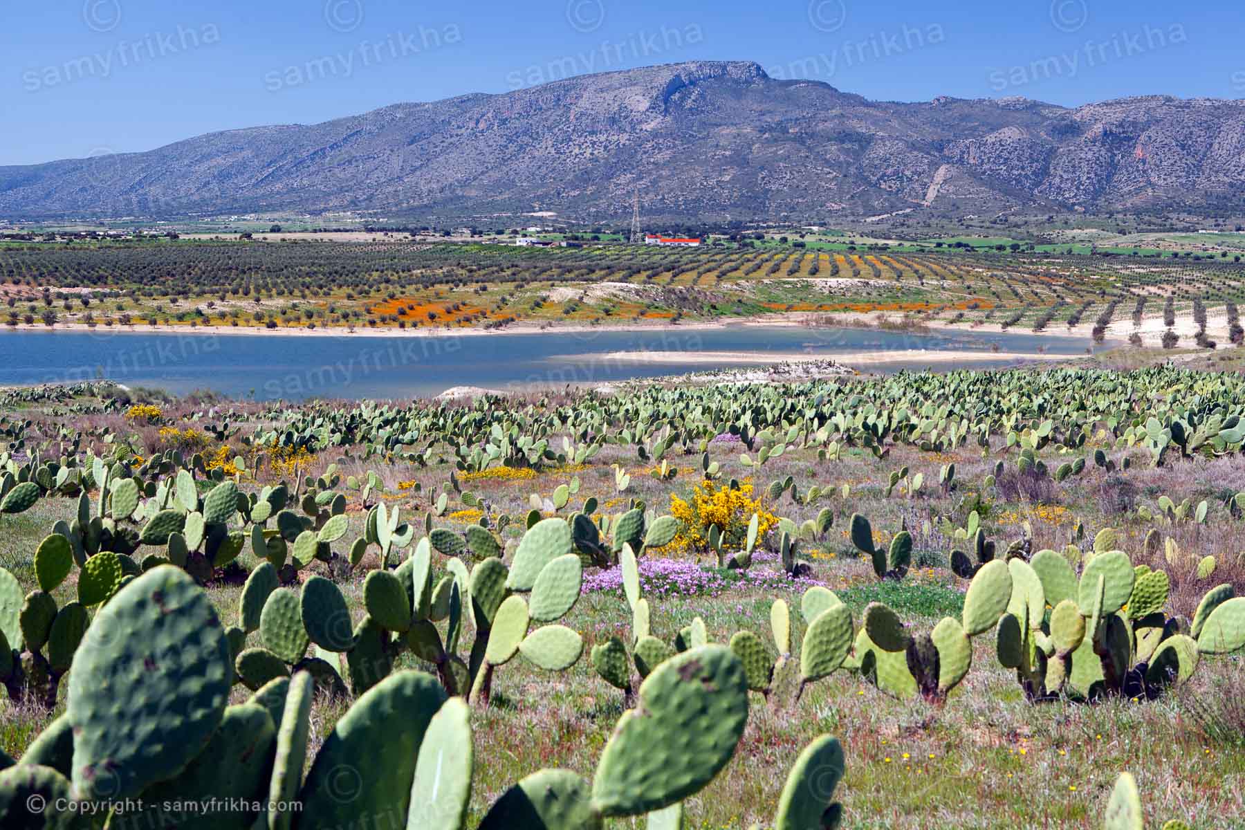 Photo de Djebel Ressas prise par Samy Frikha