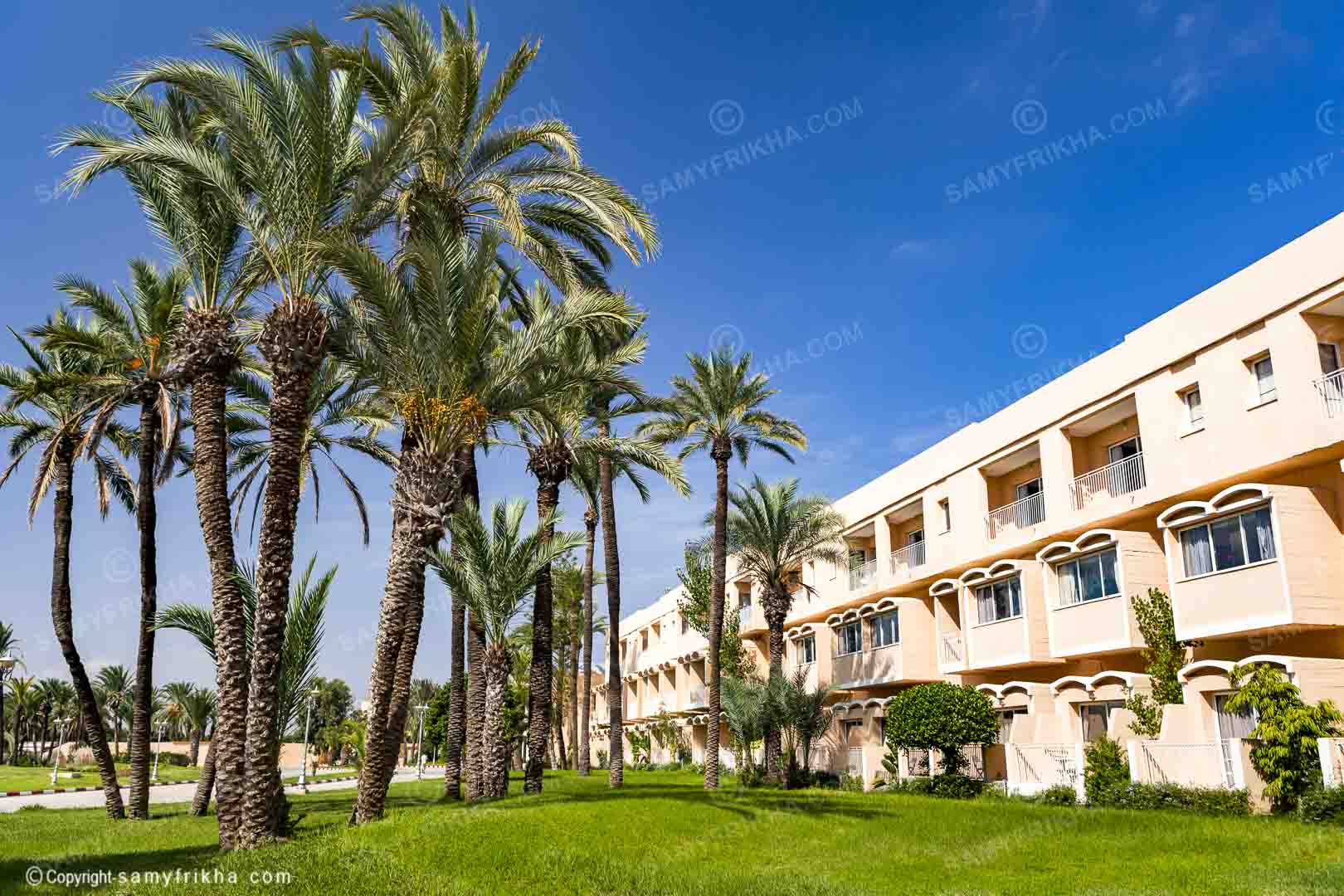 photographe hôtellerie en Tunisie Hotel  skanes family