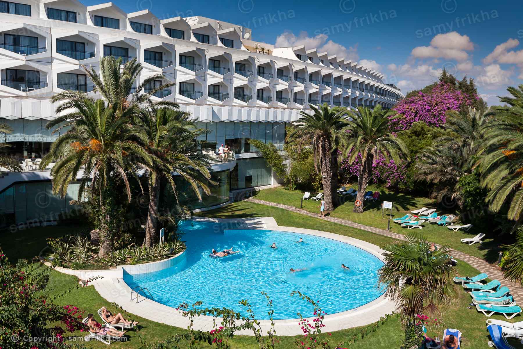 Piscine hotel palmiers tunisie