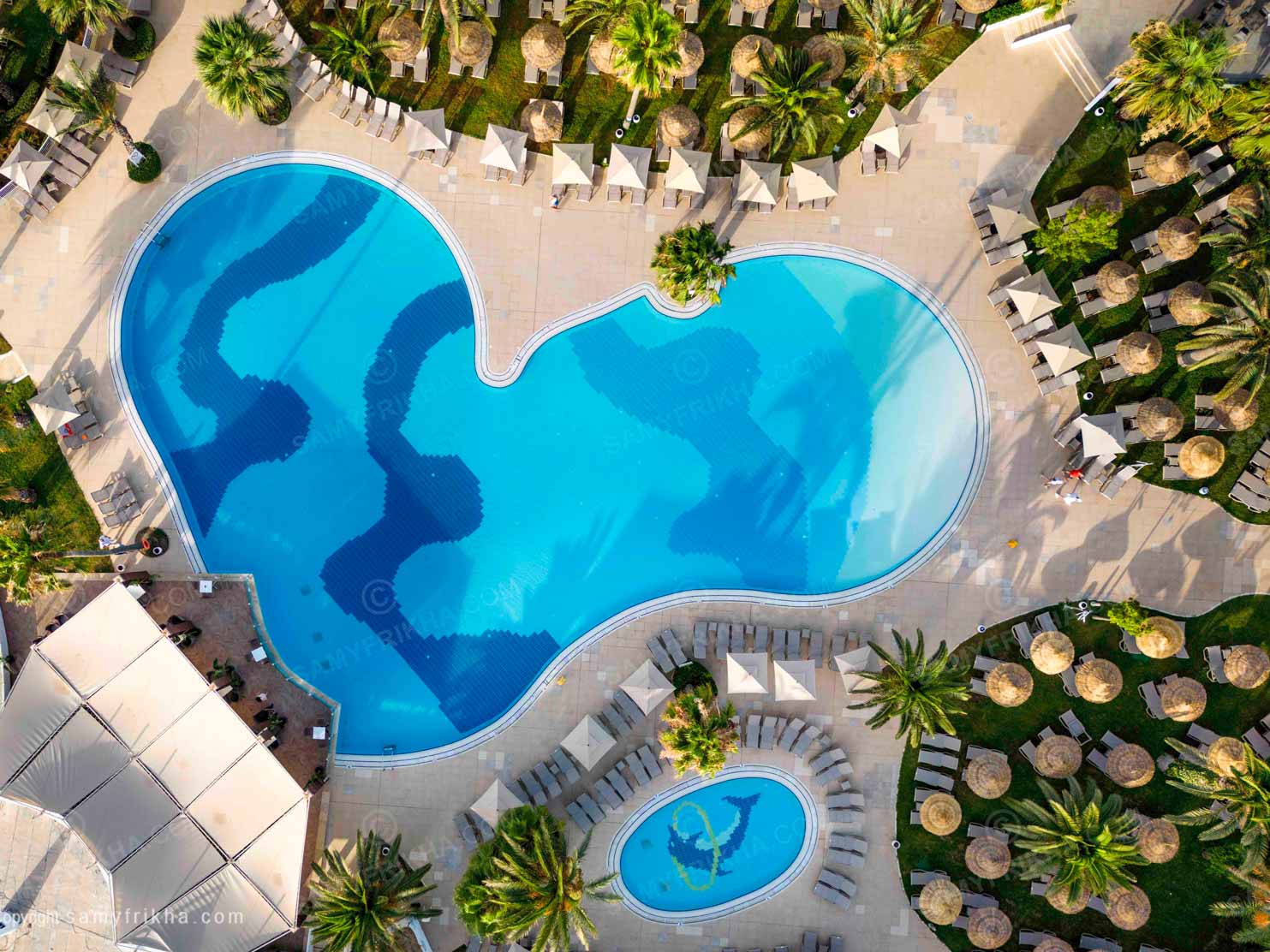 Piscine palmiers vue aerienne