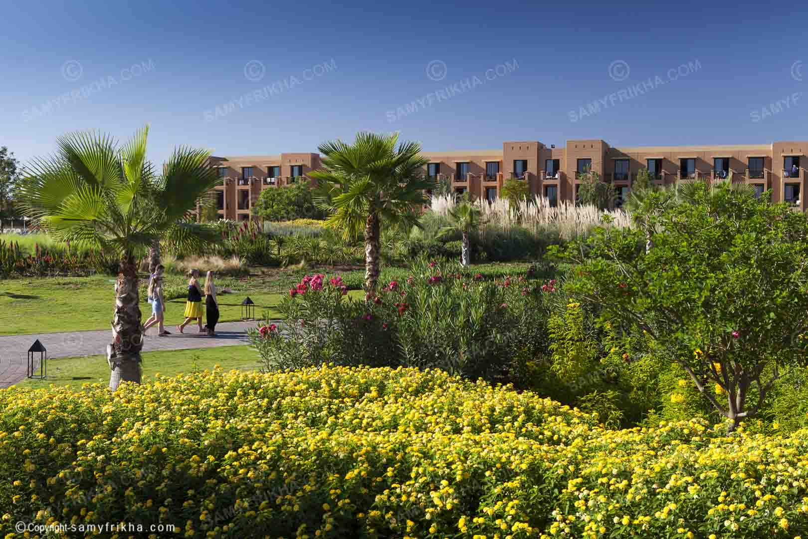 Jardin Hotel Medina Garden