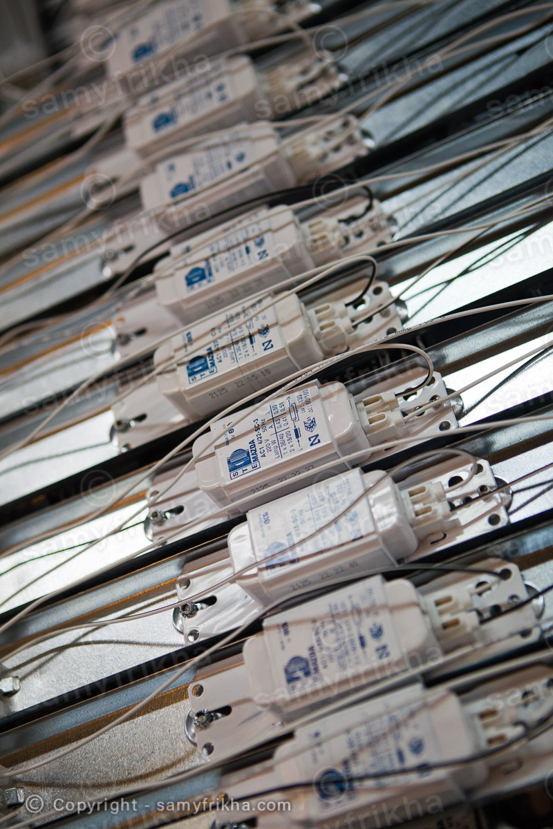 Frikha Photograpy Industry 46