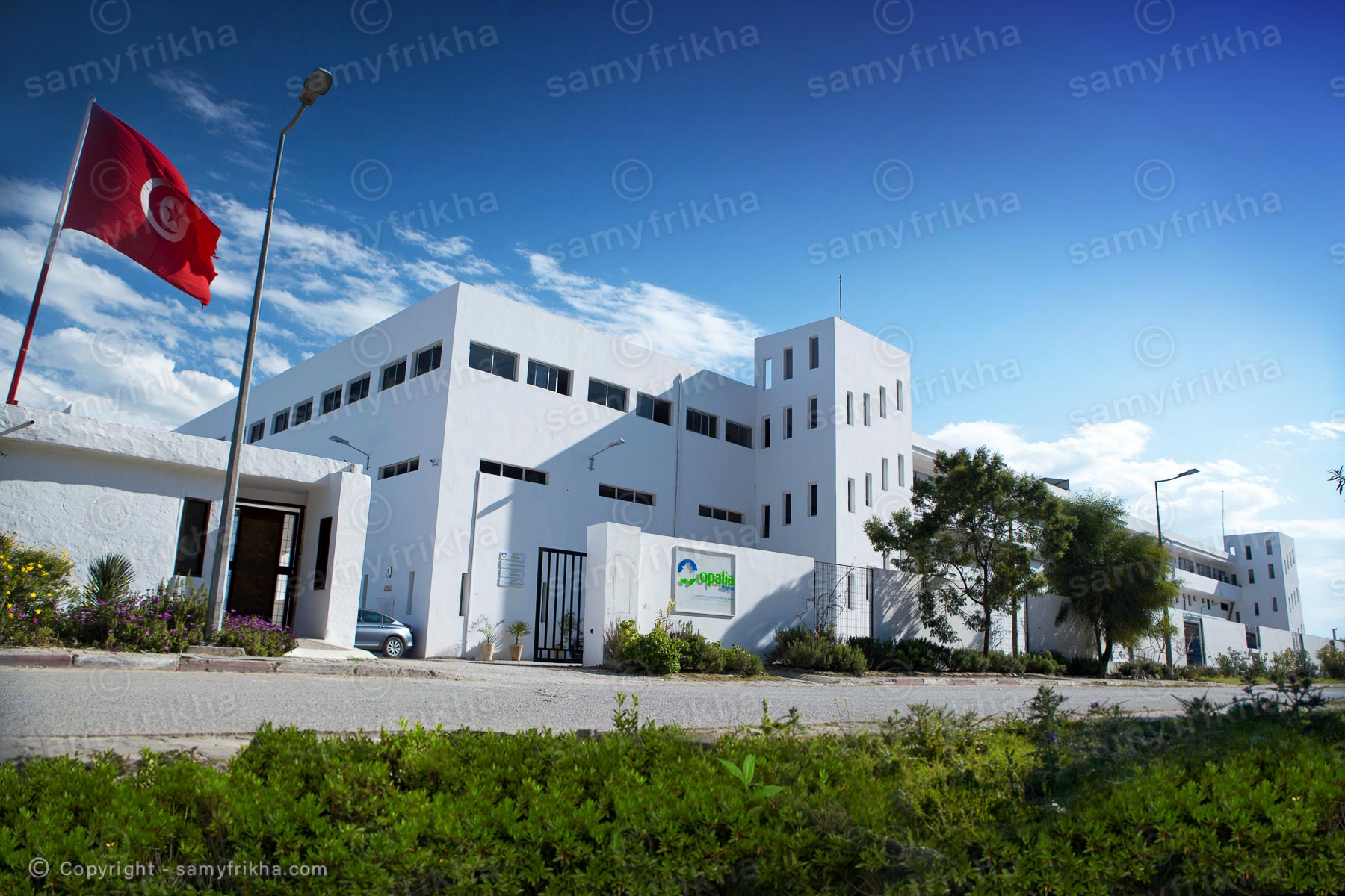 Frikha Photograpy Industry 02