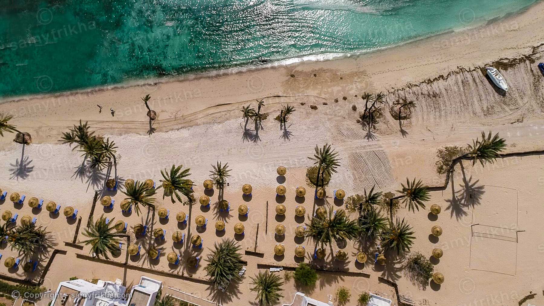 Vue aérienne d'une plage bordée de palmiers en Tunisie