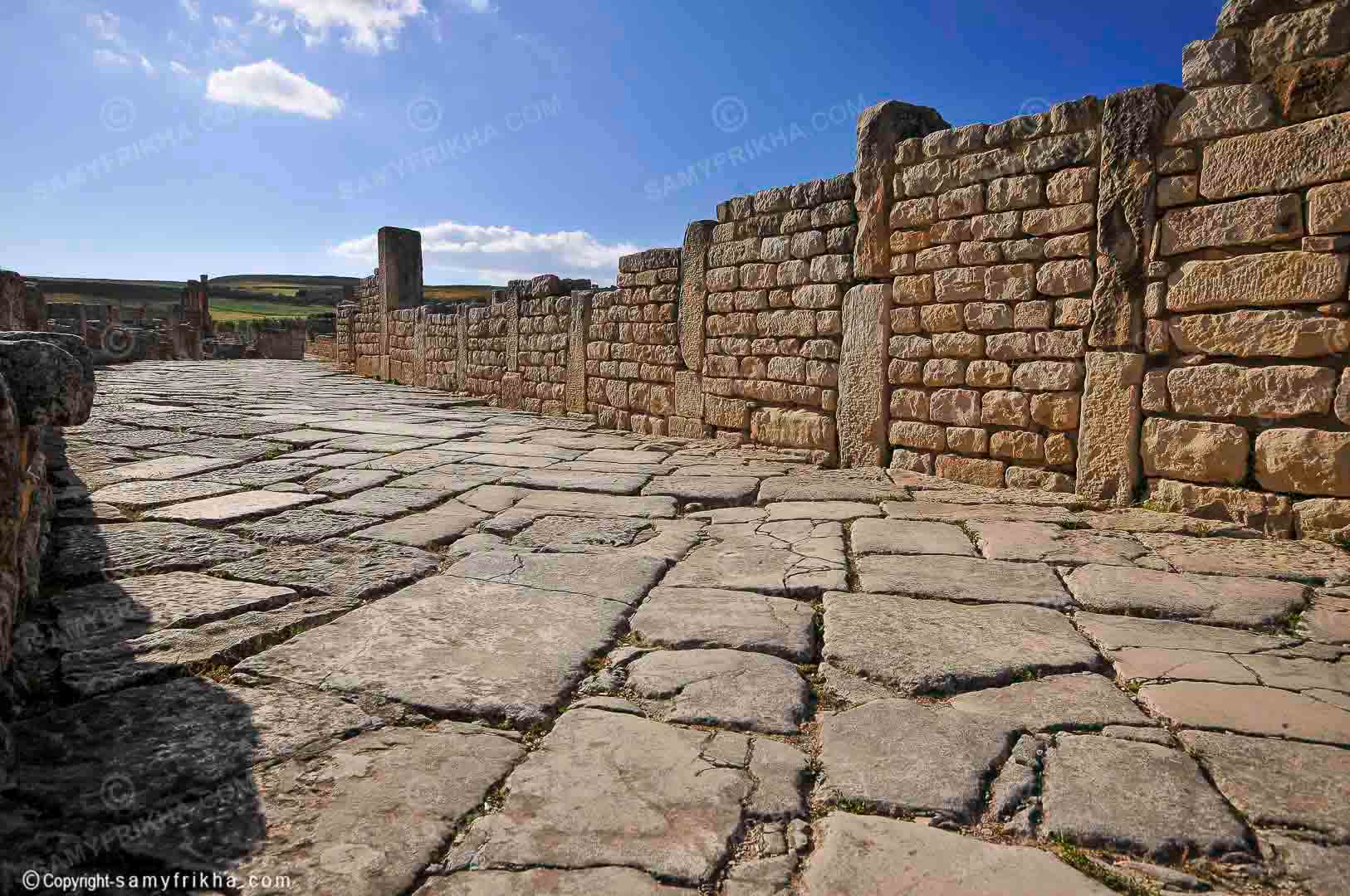  DSC1055a