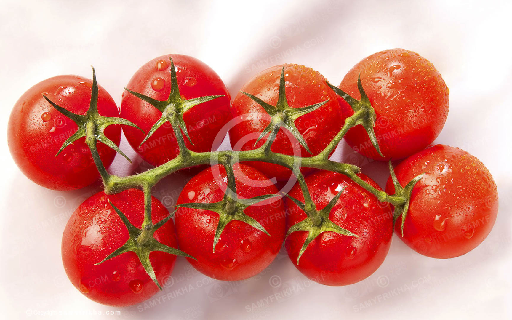 Food29
